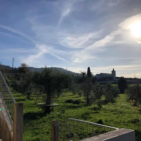 Quinta Oliveiras Moimenta da Serra